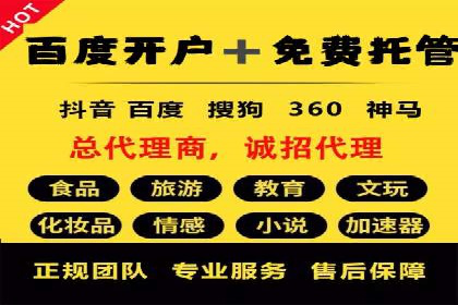 SEM优化师成功案例：助力企业实现品牌升级